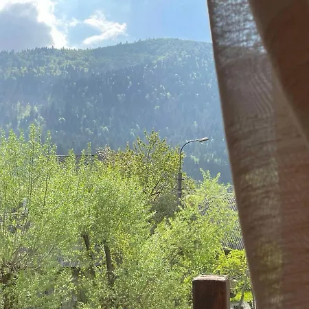 Apartment чан баня басейн Mizhhirya (Transcarpathia)