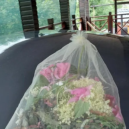 чан баня басейн